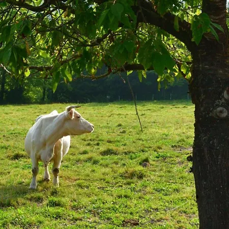 Ferme La Siberie Σπίτι διακοπών
