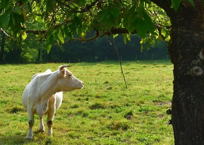 Ferme La Siberie Semesterbostad